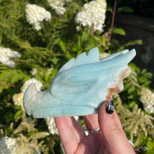 Large Caribbean Calcite Carved Dragon Head