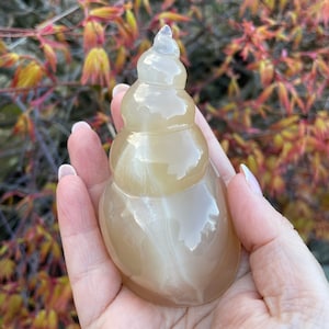 Druzy Agate Shell Carving