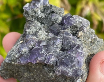 49mm Color-zoned Purple Fluorite, Natural Mineral Specimen From