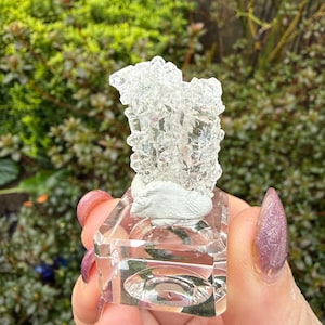 May include: A clear crystal perfume bottle with a white bird sculpture on top. The bottle has a rectangular base and a textured crystal stopper. The background is blurred with green foliage.