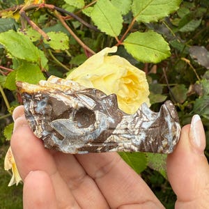 Agate and Chalcedony Carved Dragon Head