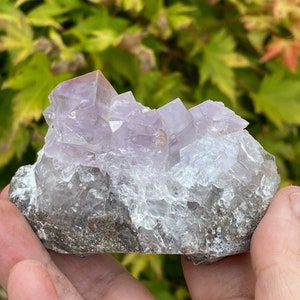 Purple Fluorite Specimen