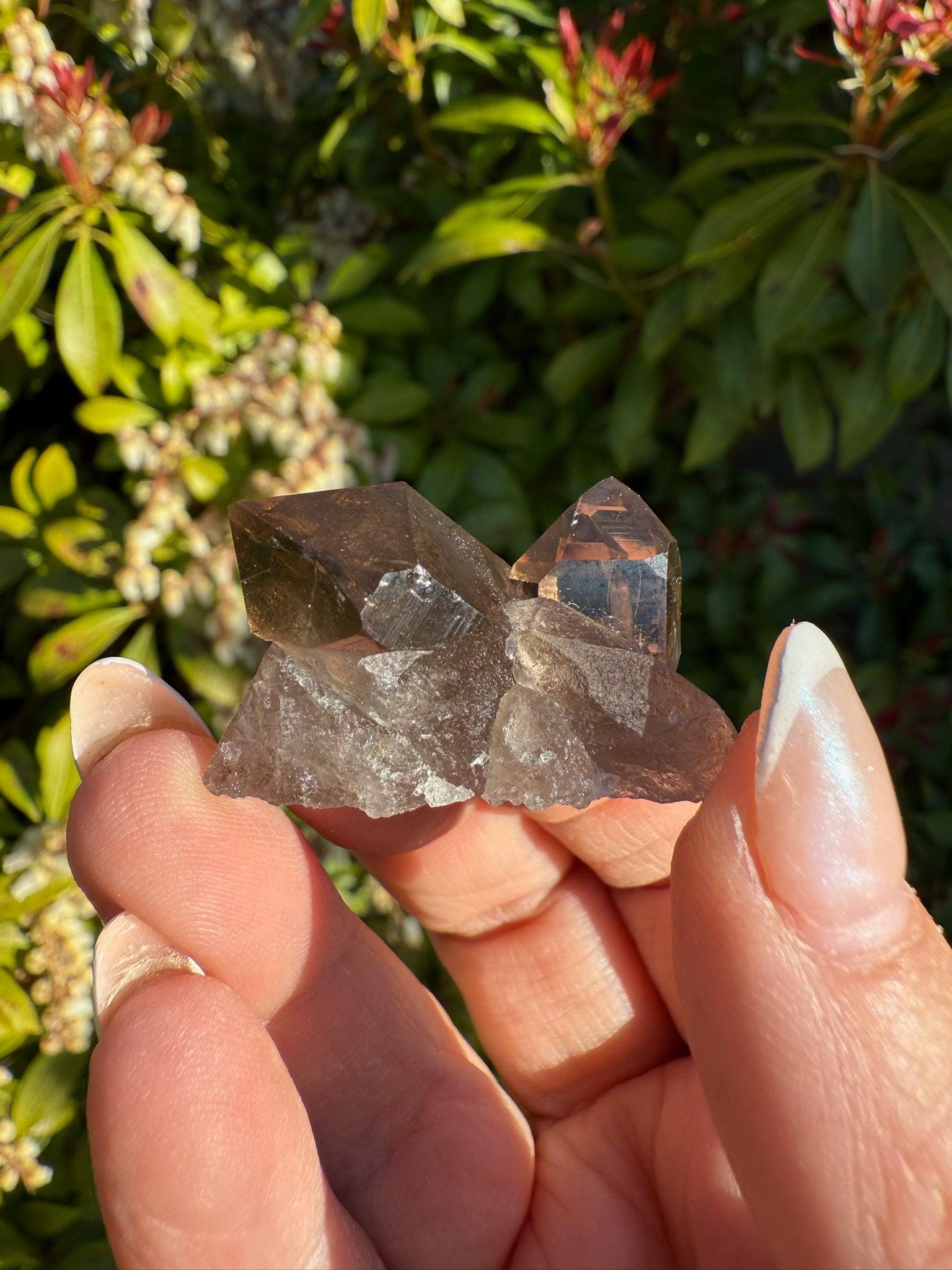 Swiss smoky quartz - Etsy 日本