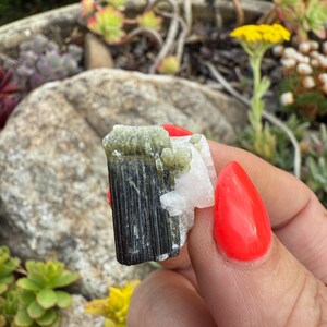 Green Cap Terminated Tourmaline Specimen image 1