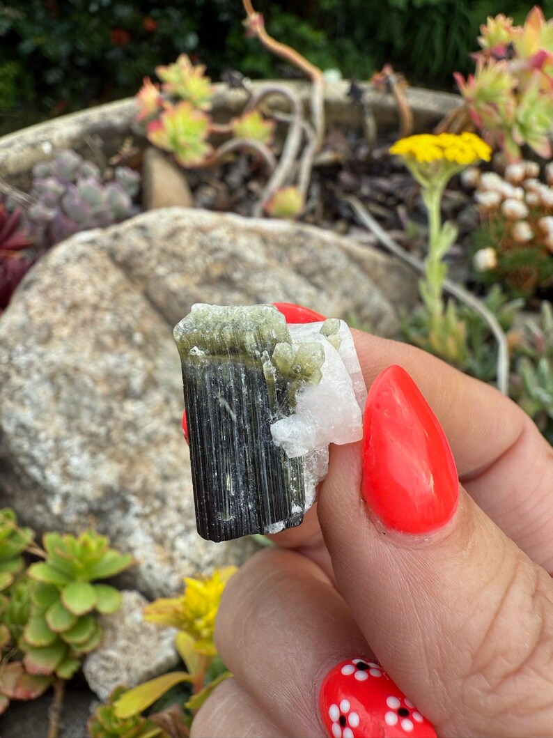 Green Cap Terminated Tourmaline Specimen image 1