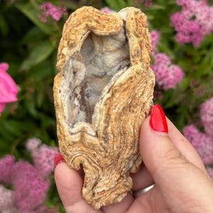 Interessante Chalcedon Geode