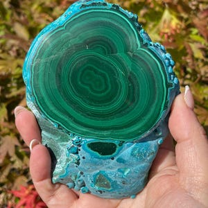 Malachite and Chrysocolla Stalactite Specimen