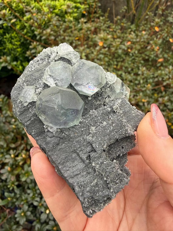 Clear Fluorite Specimen from Fujian China