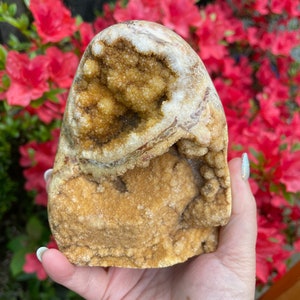 Druzy Golden Healer Quarz und Achat Freeform