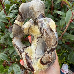 May include: A brown, white and yellow geode with a unique, abstract shape. The geode has a smooth, polished surface and is a natural formation.