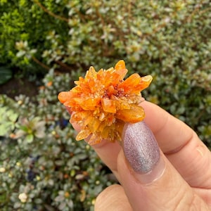 May include: A cluster of orange crystals, held in a hand, with a blurred green background. The crystals have a spiky, starburst-like appearance, with varying shades of orange and yellow. The hand has a light purple nail polish.