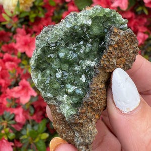 May include: A close-up of a green mineral specimen with a crystalline structure. The mineral is set against a backdrop of red and yellow flowers, highlighting its natural beauty and texture. The mineral is a vibrant green color.
