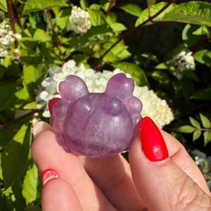 Purple Fluorite Crab Carving