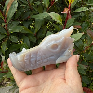 Druzy Agate Carved Dragon Head