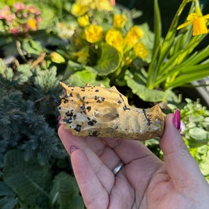 Picture Jasper Dragon Head Carving