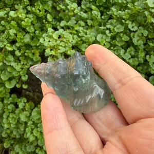 May include: A translucent, irregularly shaped, blue-green fluorite crystal is held in a hand. The crystal has a rough, textured surface with areas of lighter and darker coloration. The background features a dense cluster of small, green leaves.