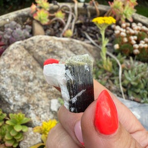 Green Cap Terminated Tourmaline Specimen image 2