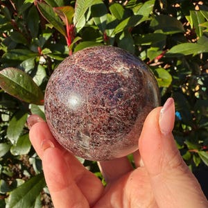 May include: A spherical, polished gemstone in a deep burgundy hue, featuring detailed veining. The orb is held in a hand, set against a background of green leaves and sunlight. The gemstone is likely a decorative item.