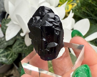 Azurite Specimen from Tsumeb Mine