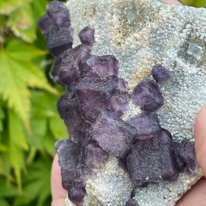 Purple Cubic Fluorite Specimen