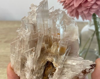 Gypsum Crystal
