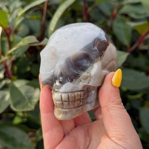 UV Reactive Volcano Agate Skull Carving