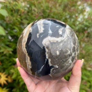 May include: A large, polished sphere of black and white banded agate. The sphere has a natural, organic look with a variety of textures and patterns.