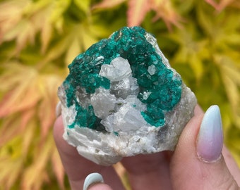 Dioptase on Quartz Specimen from Namibia