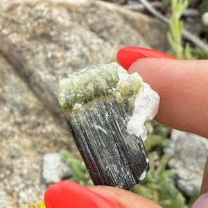 Green Cap Terminated Tourmaline Specimen image 3