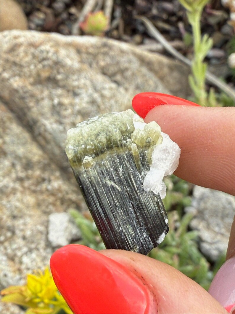 Green Cap Terminated Tourmaline Specimen image 3