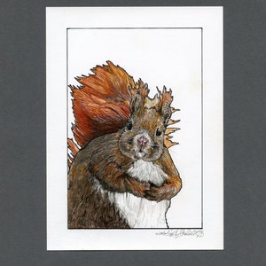Gift for Squirrel Lovers - original pen and ink drawing of a red squirrel