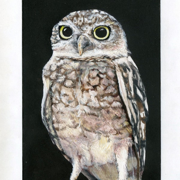 Gift for Owl lovers - Mixed media acrylic painting of an owl