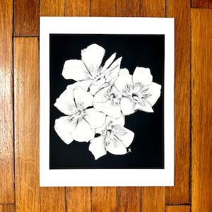 May include: A black and white floral art print featuring a cluster of white flowers with detailed petals. The artwork is set against a black background and framed in white. The print is displayed on a wooden surface.