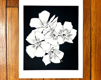 White Oleander Floral Pen and Ink 8x10 Unframed Print - Poisonous Plant Series