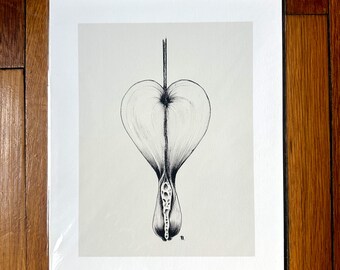 Bleeding Heart Floral Pen and Ink 8x10 Unframed Print - Poisonous Plant Series