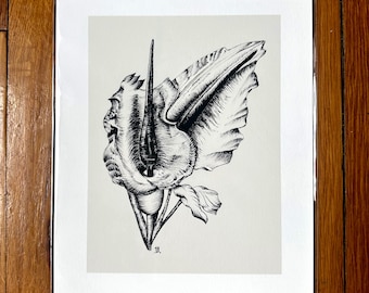 Vampire Lily Floral Pen and Ink 8x10" Unframed Print - Poisonous Plant Series