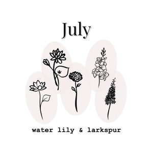 JULY Birth Month Flower Bundle SVG PNG, Birthflower, Floral clipart, Flower Hand Drawn Design, Flower Bouquet Art, Cricut Cut Files svg png