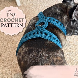 Crochet Dog Harness Pattern, Easy Pattern, French Bulldog Harness, Cotton Crochet, Sizeable Gift for Dog Lovers, comfortable dog harness