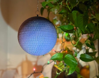 May include: A blue disco ball hanging from a chain, surrounded by green leafy plants and string lights.