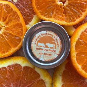Sweet orange and honey organic grass-fed tallow lip balm