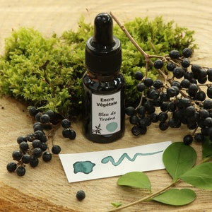 May include: A small black glass bottle of "Encre Végétale Bleu de Troène" ink with a dropper top. The bottle sits on a wooden surface with green moss, dark berries, and a swatch of the ink.