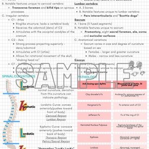 DIGITAL VERSION ARRT Study Guide: Procedures Quick Reference Sheet ...