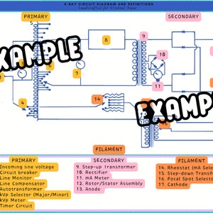 Op de afbeelding: Een diagram van een röntgencircuit met labels voor de primaire en secundaire componenten, waaronder de inkomende lijnspanning, de stroomonderbreker, de lijnmonitor, de lijncompensator, de autotransformator, de kVp-selector, de kVp-meter, de timercircuit, de transformator omhoog, de gelijkrichter, de mA-meter, de rotor/stator-assemblage, de anode, de reostat, de transformator omlaag, de brandpuntselector en de kathode.