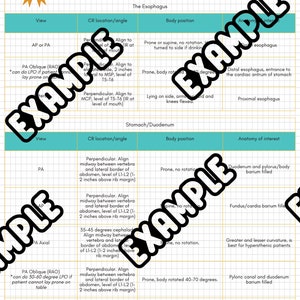 DIGITAL VERSION ARRT Study Guide: Fluoroscopy Common Views Sheet - Personalized w/ Name + Color (X-ray study tool, great graduation gift!)