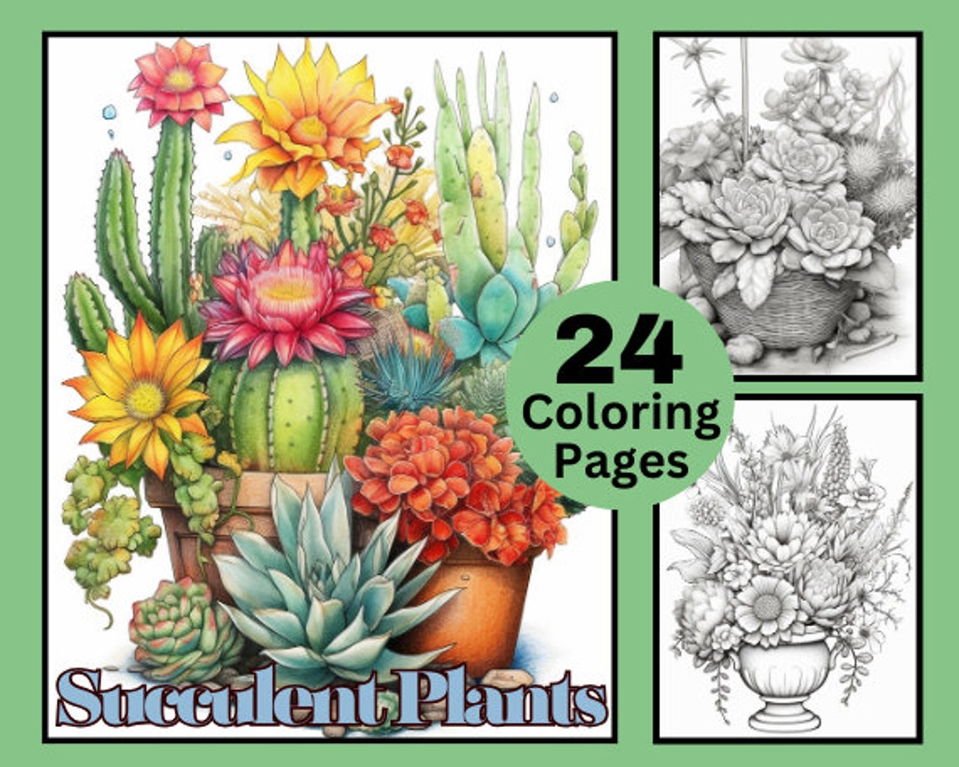24 Succulent Plants Coloring Book Plant Coloring Botanical - Etsy