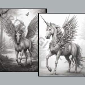 Op de afbeelding: Twee zwart-wit ingelijste prints met mythische wezens. E&eacute;n print toont een gevleugeld paard, of pegasus, in een bos. De andere toont een eenhoorn met vleugels. Beide afbeeldingen zijn gedetailleerd en artistiek.