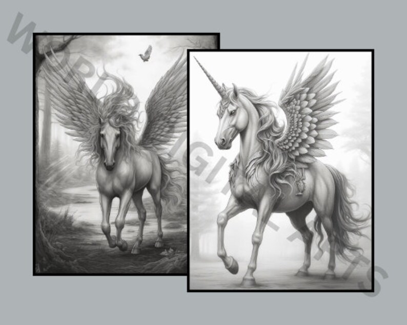 Op de afbeelding: Twee zwart-wit ingelijste prints met mythische wezens. E&eacute;n print toont een gevleugeld paard, of pegasus, in een bos. De andere toont een eenhoorn met vleugels. Beide afbeeldingen zijn gedetailleerd en artistiek.