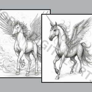 Op de afbeelding: Twee grijstinten illustraties van mythische wezens. E&eacute;n toont een gevleugeld paard, of pegasus, met gedetailleerde veren en een vloeiende manen. De andere toont een eenhoorn met een spiraalvormige hoorn en gevederde vleugels.