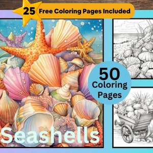 50 Muscheln Malvorlagen, Muscheln Malbuch, Graustufen zum Ausmalen, Malen für Kinder und Erwachsene, PDF Sofort-Download, Ozean, Meer