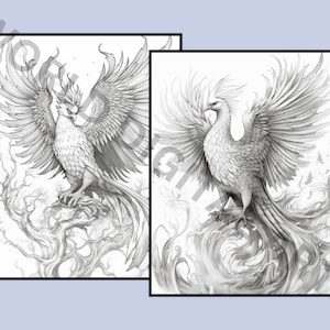 22 Phoenixes Coloring Pages, Bird Coloring Book, Grayscale Coloring ...